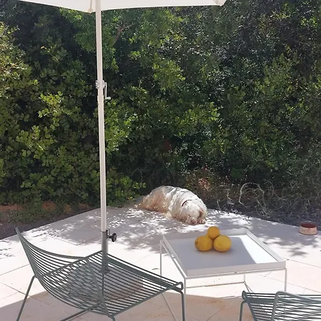 Spot Local 3* Moncarapacho